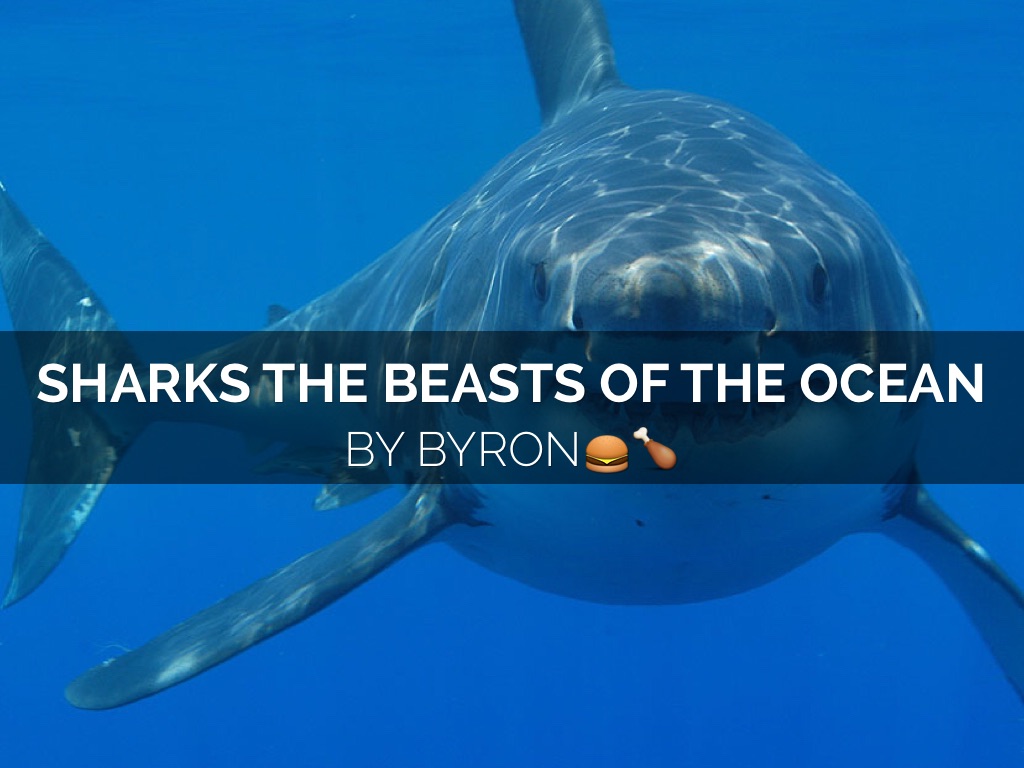 Sharks The Beast Of The Ocean By Byron