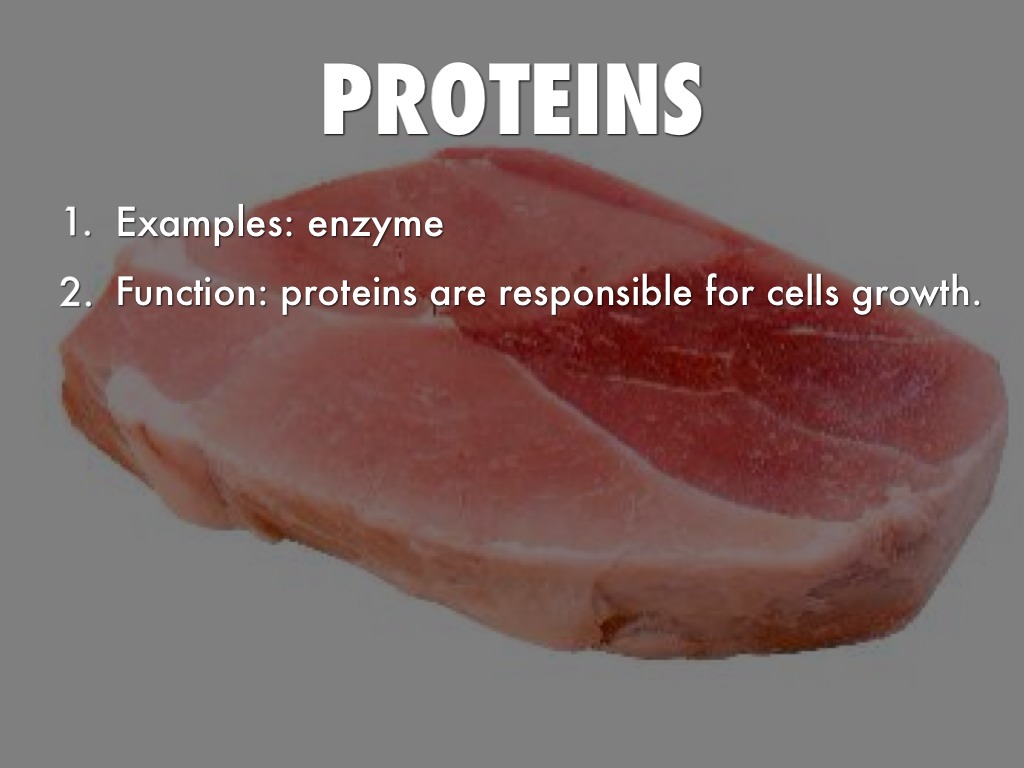 MACRO MOLECULES  brendon west hr5