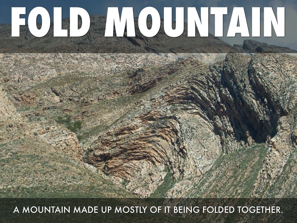 Chapter 8 Vocabulary Angelica