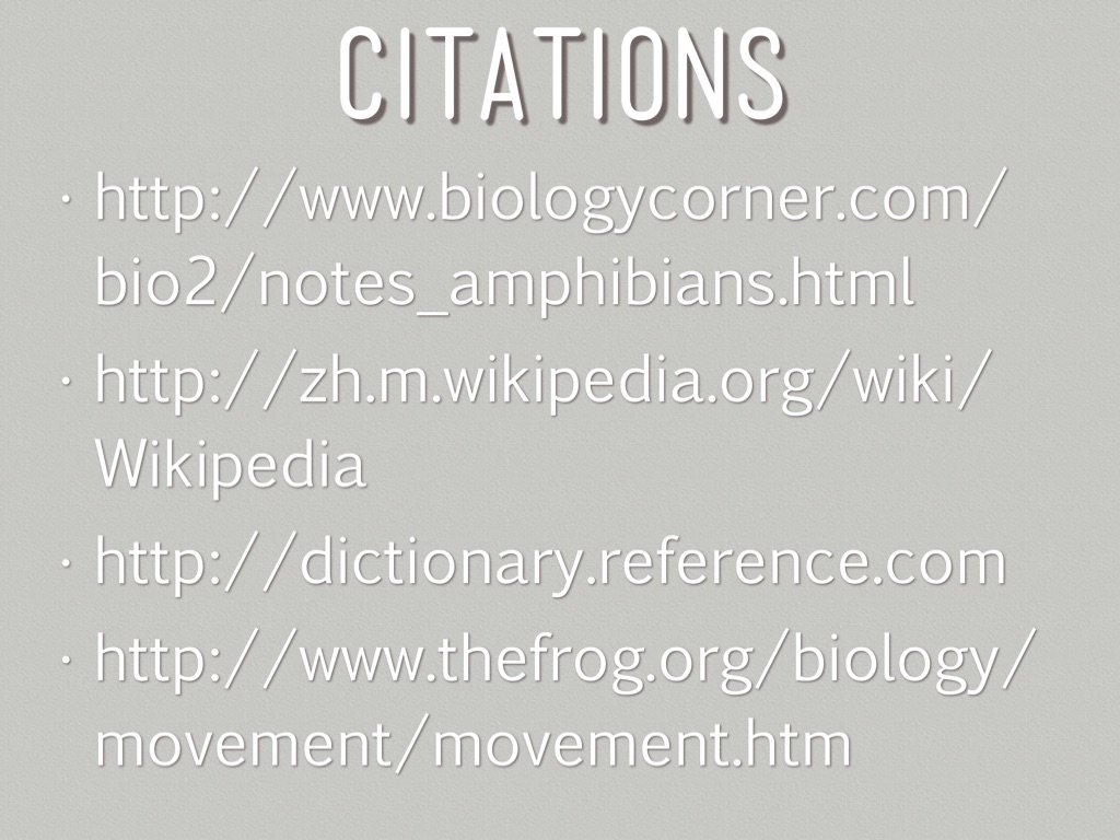 CHORDATA: Amphibians by Songnan Fang