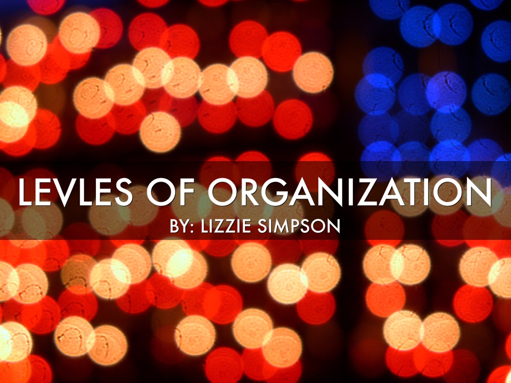 Levels Of Organization 