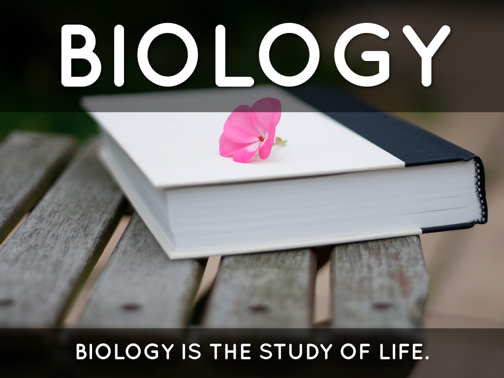 Biology 