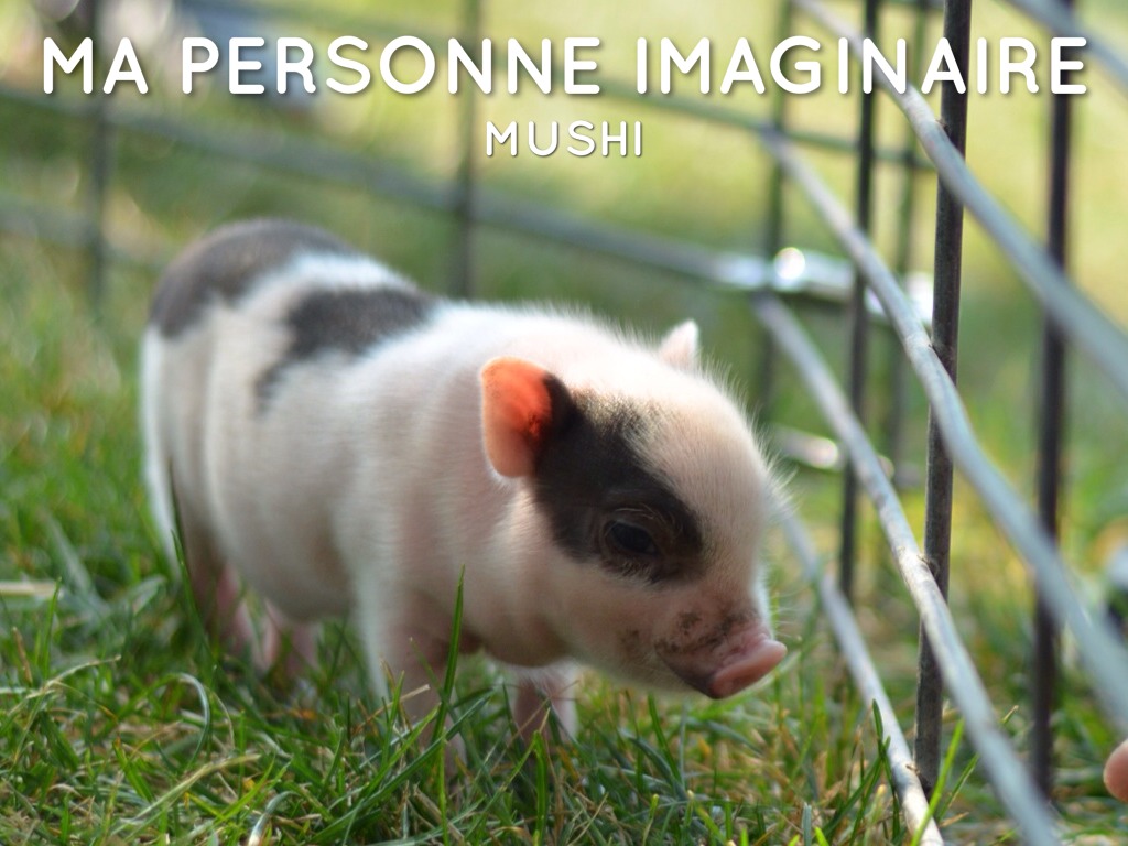 Ma Personne Imaginaire 