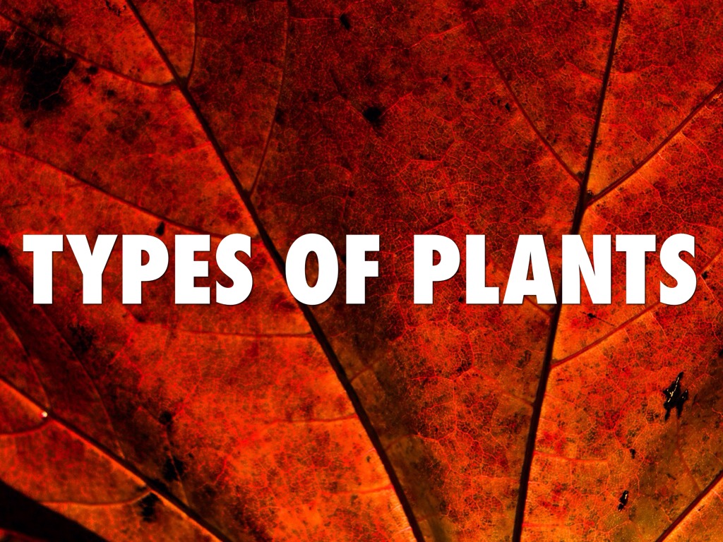 Plant Types