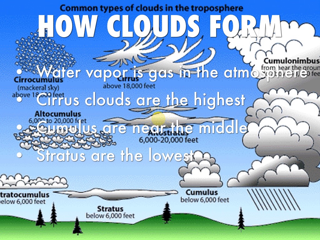 how forms a cloud Poppert Clouds Tess by precipitation and how forms a cloud Poppert Clouds Tess by precipitation and
