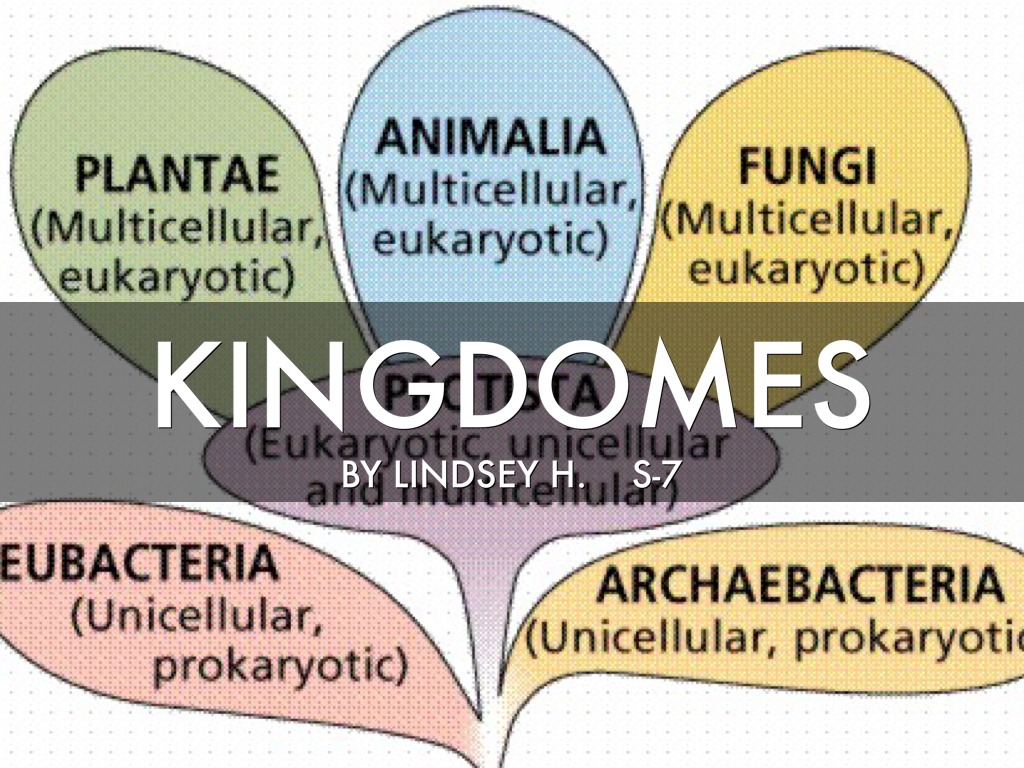 Kingdoms
