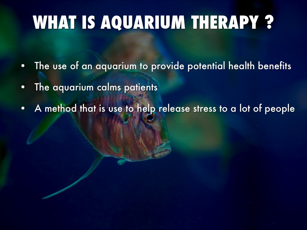 Aquarium therapy by Lyla Simpson