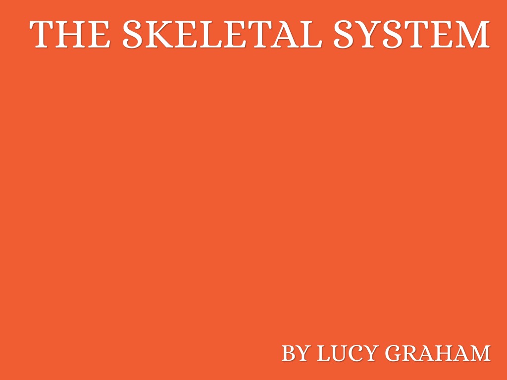 Unit 1: Assignment 1: The Skeletal System