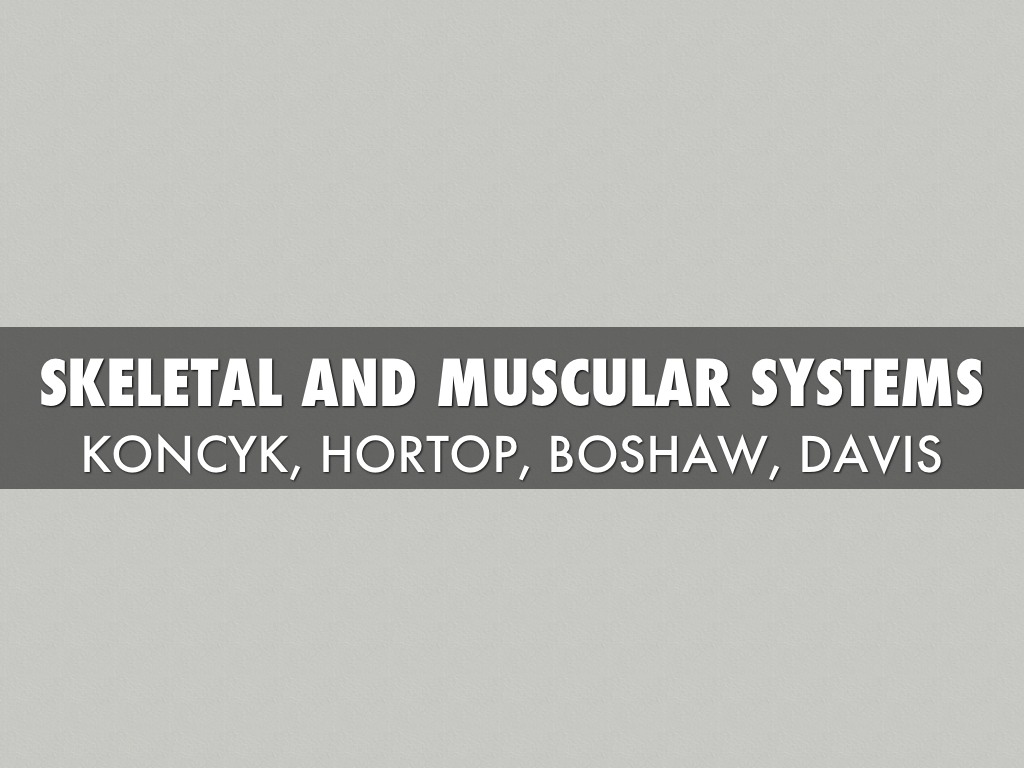 Skeletal And Muscular Systems