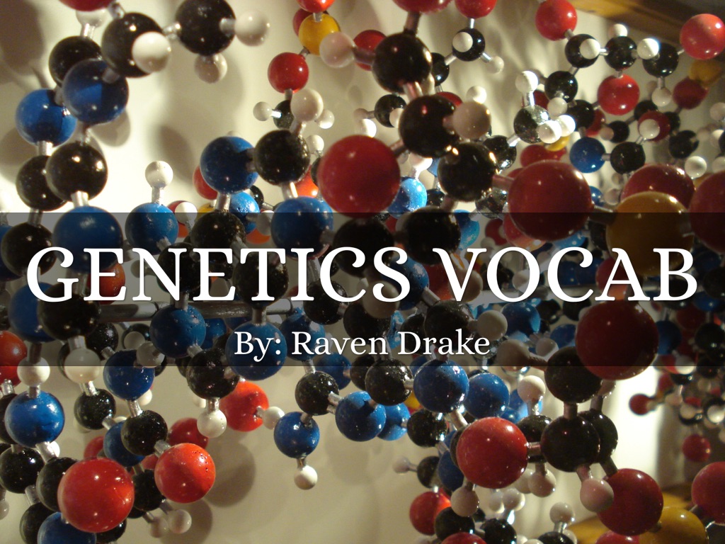 Genetics Vocabulary