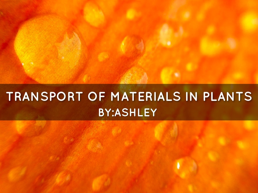 Transport Of Materials