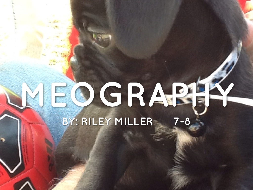 7-8 Five Themes Miller