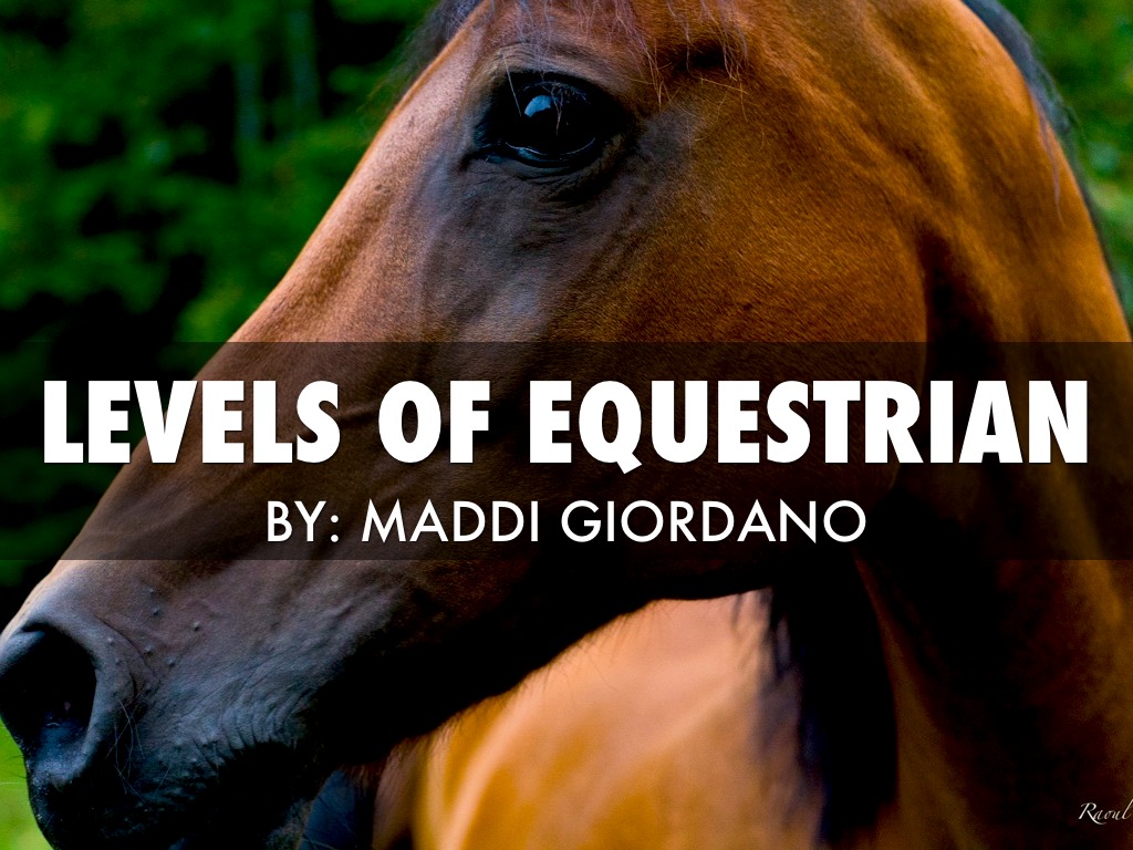 Levels Of Equestrian by mmcgrath