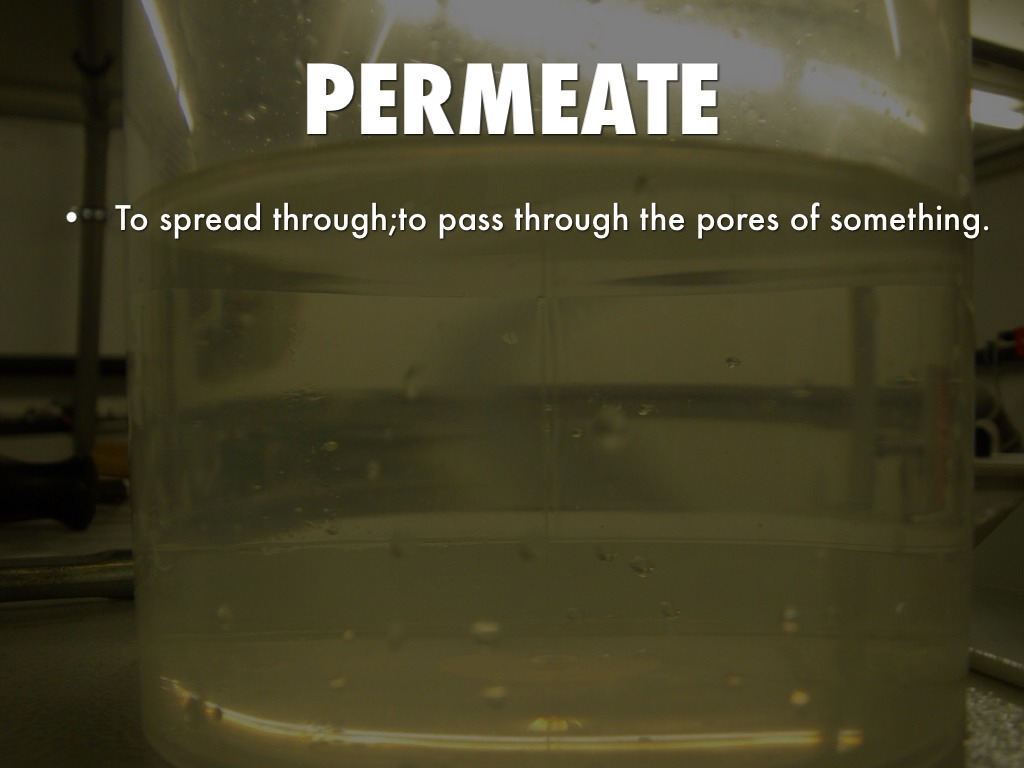 Quarter 2 Vocabulary Slide Show