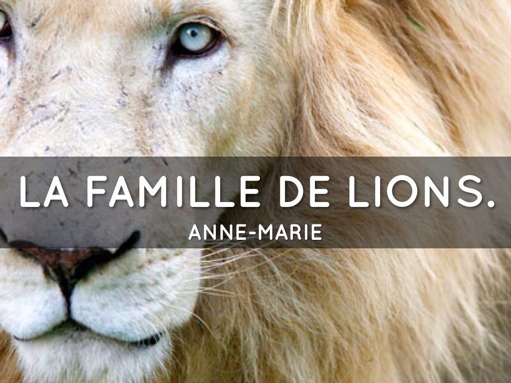 La Famille De Lions.