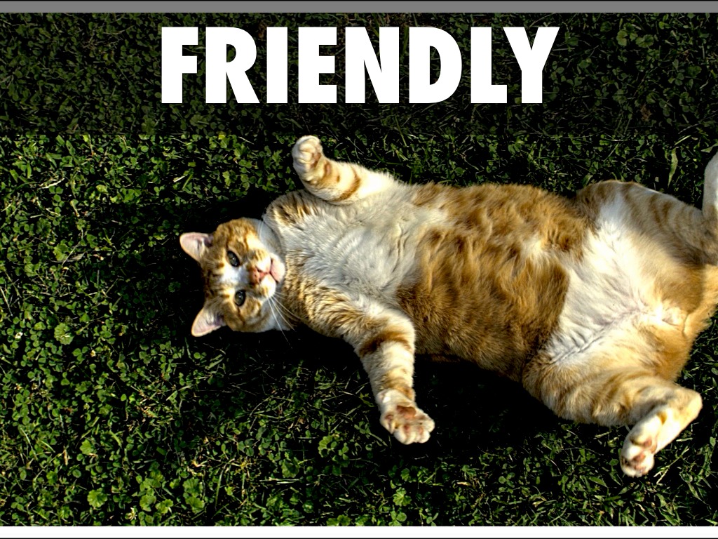 Meghan Rogers - iPad introductory task