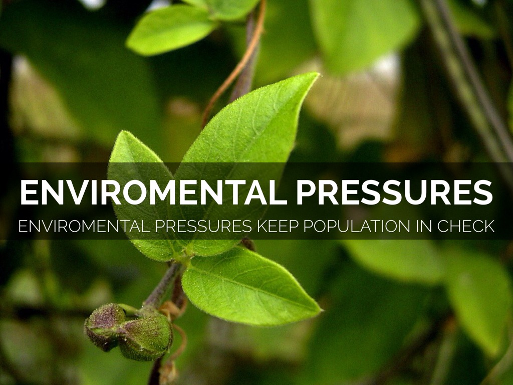 6_tabaresgarrett_evolution