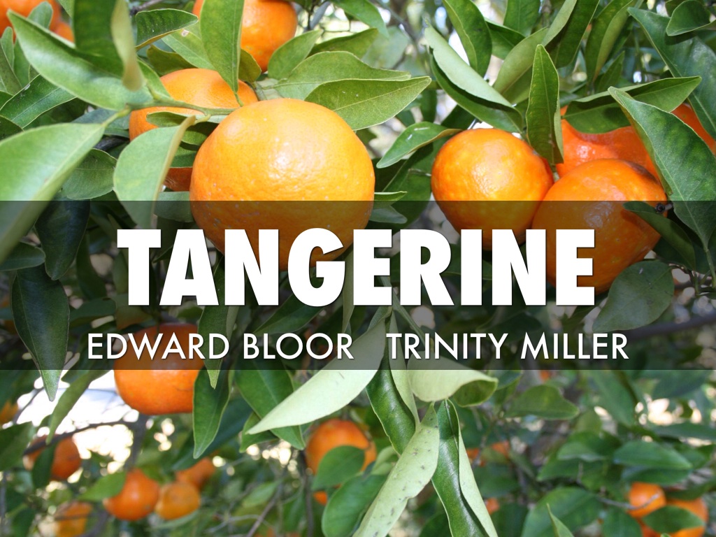 Tangerine 