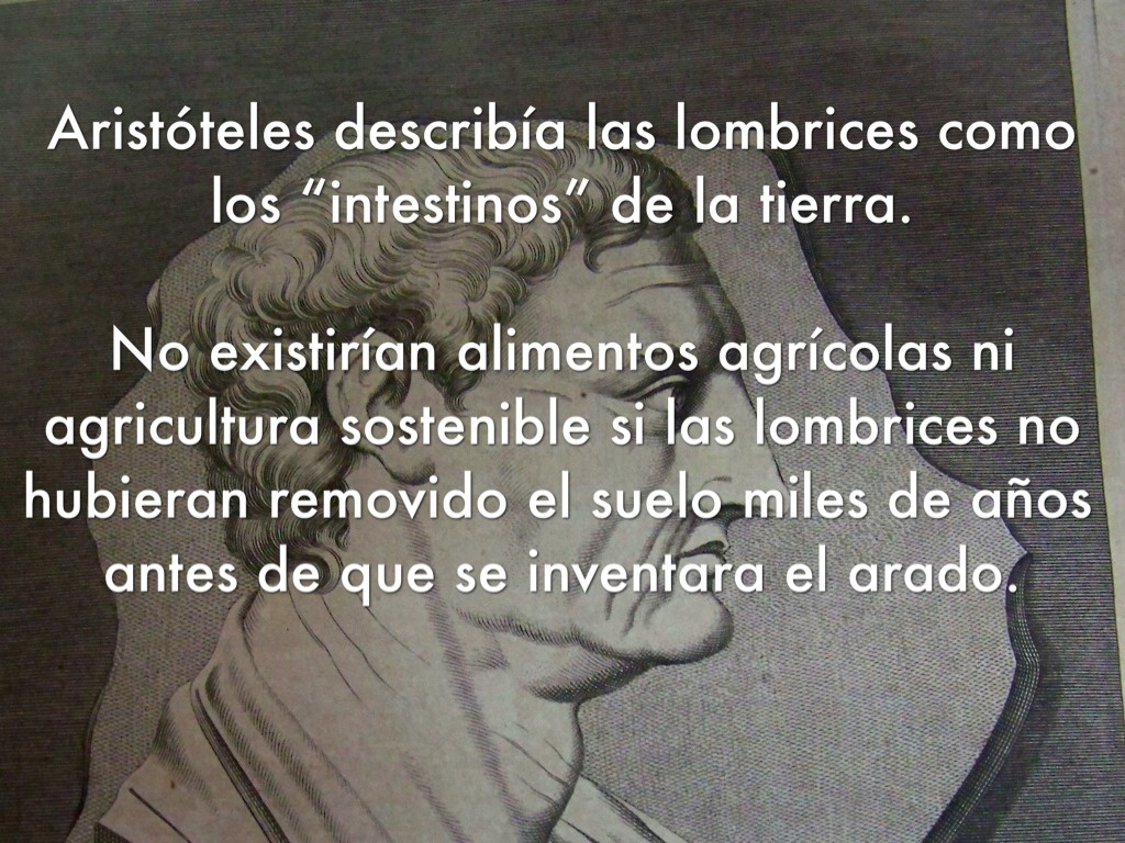 El olor de la boca al niño de la lamblia