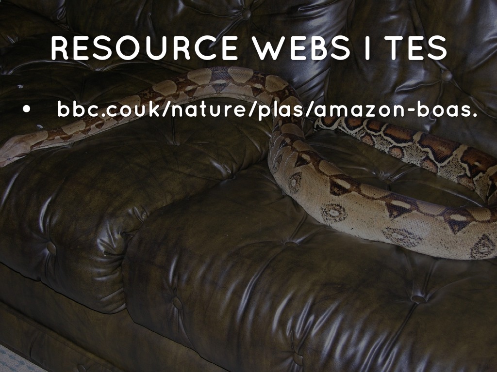 boa by franklin3rdgrade.5