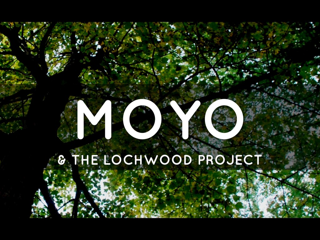 MOYO