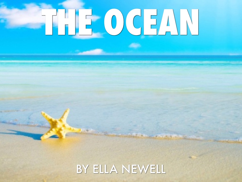 Ocean Life