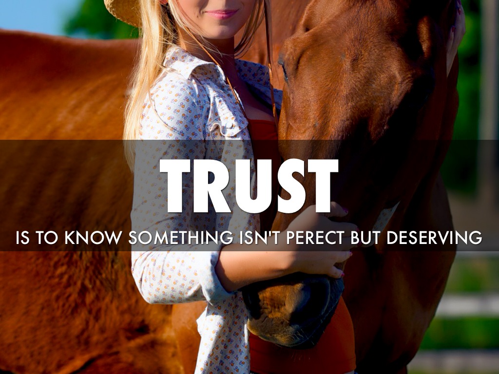 A Horse's Dictionary by brekken hoffman