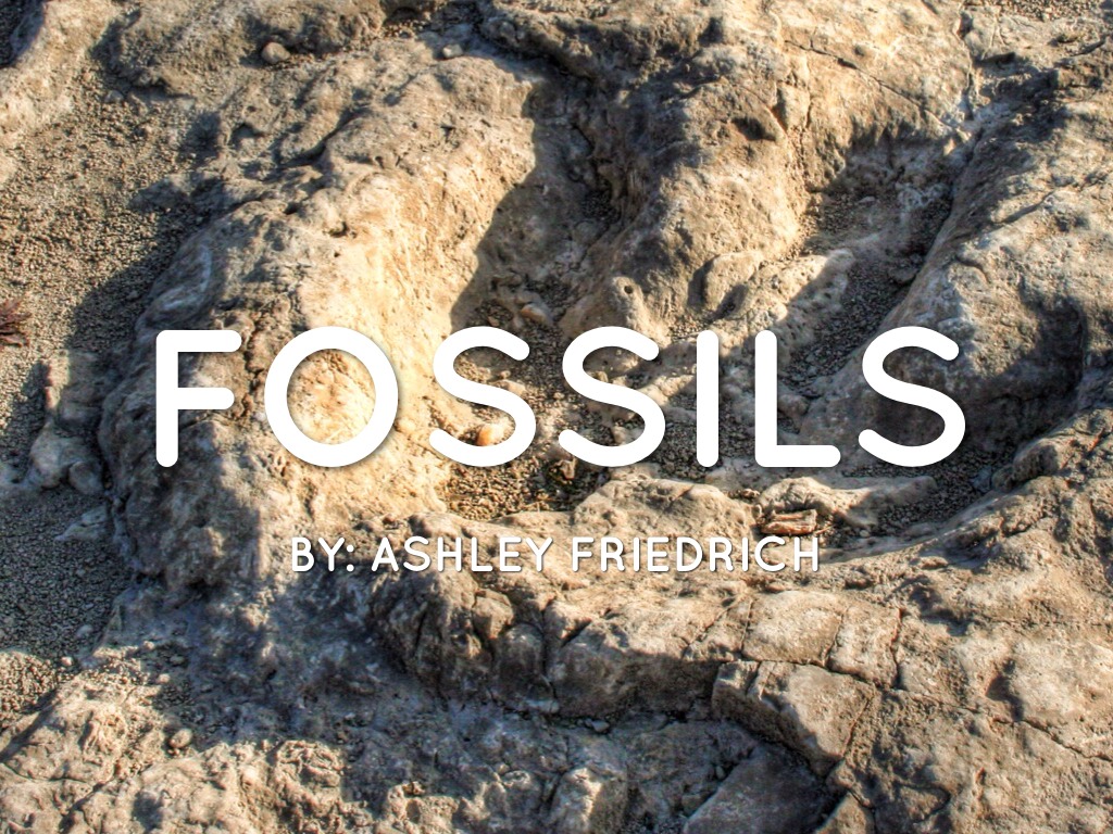Fossils
