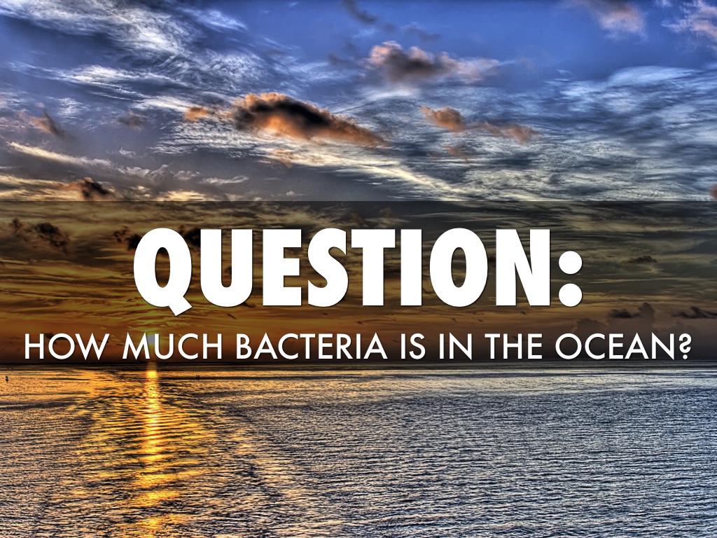 Ocean bacteri