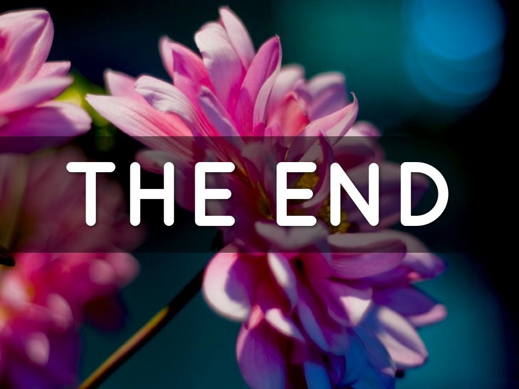 Flower Resource by Antoni A