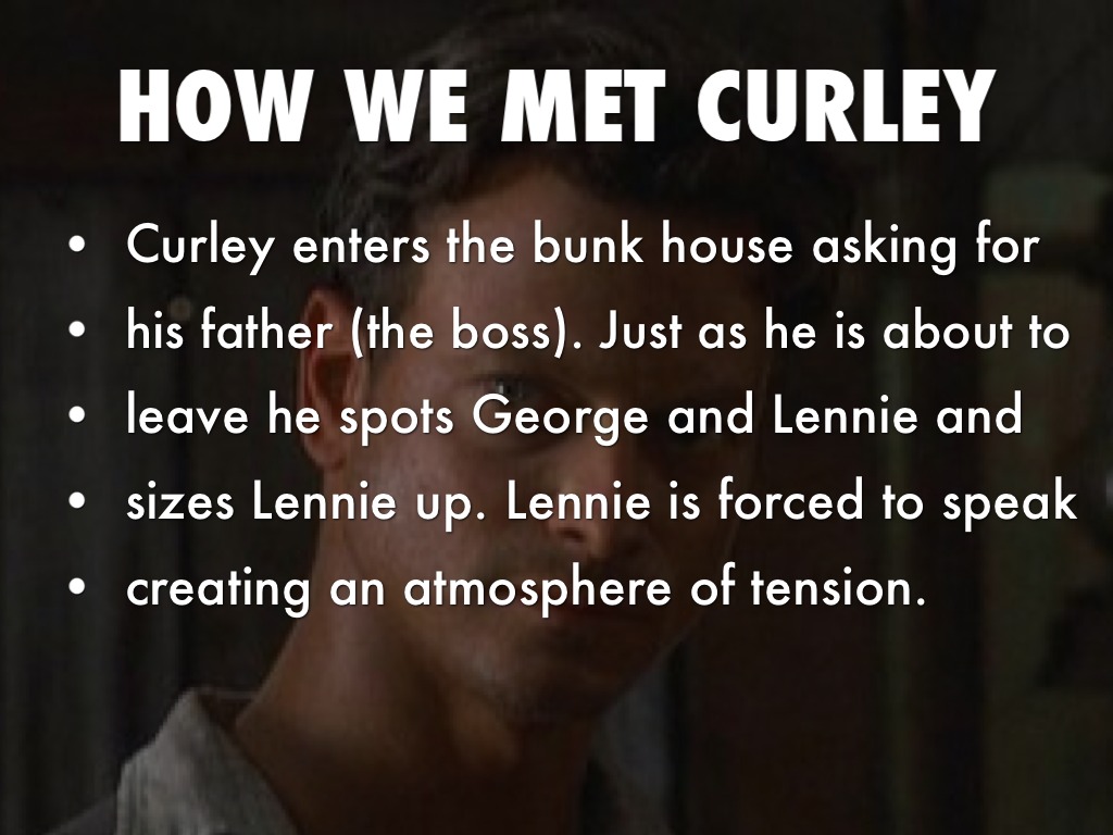 Curley by Jasmin Day