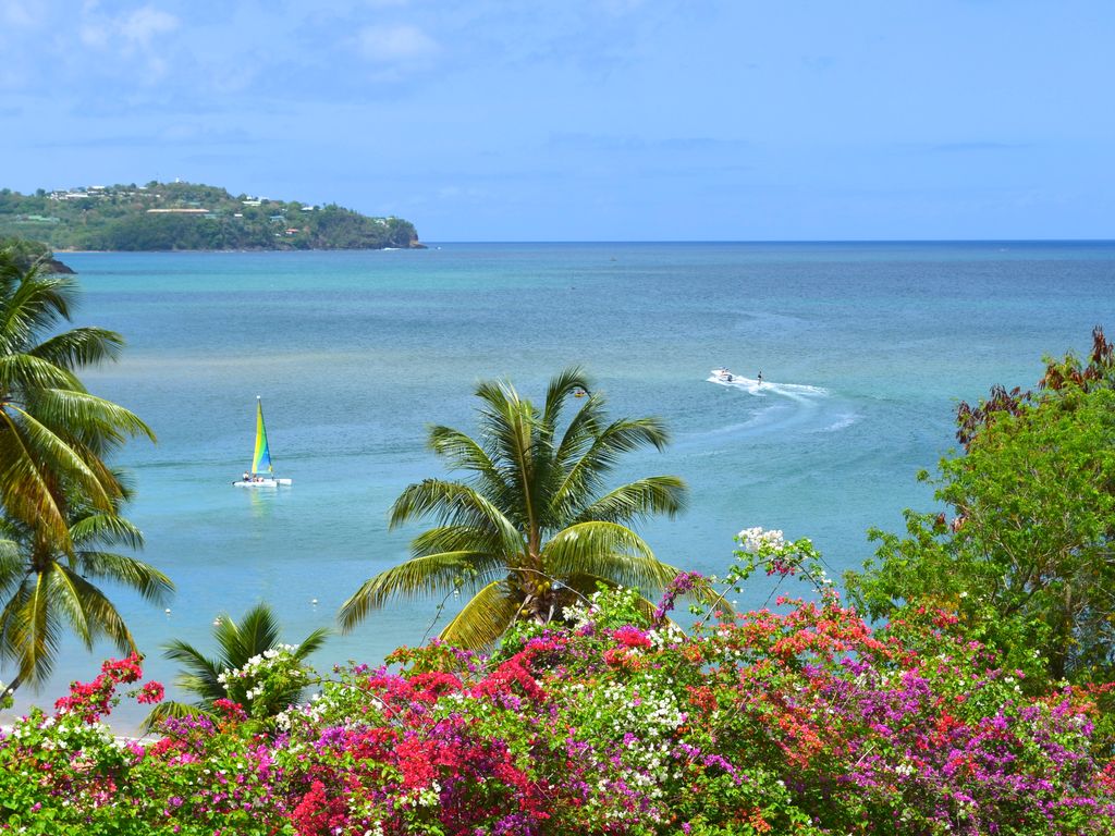 Caribbean island  St. Lucia 