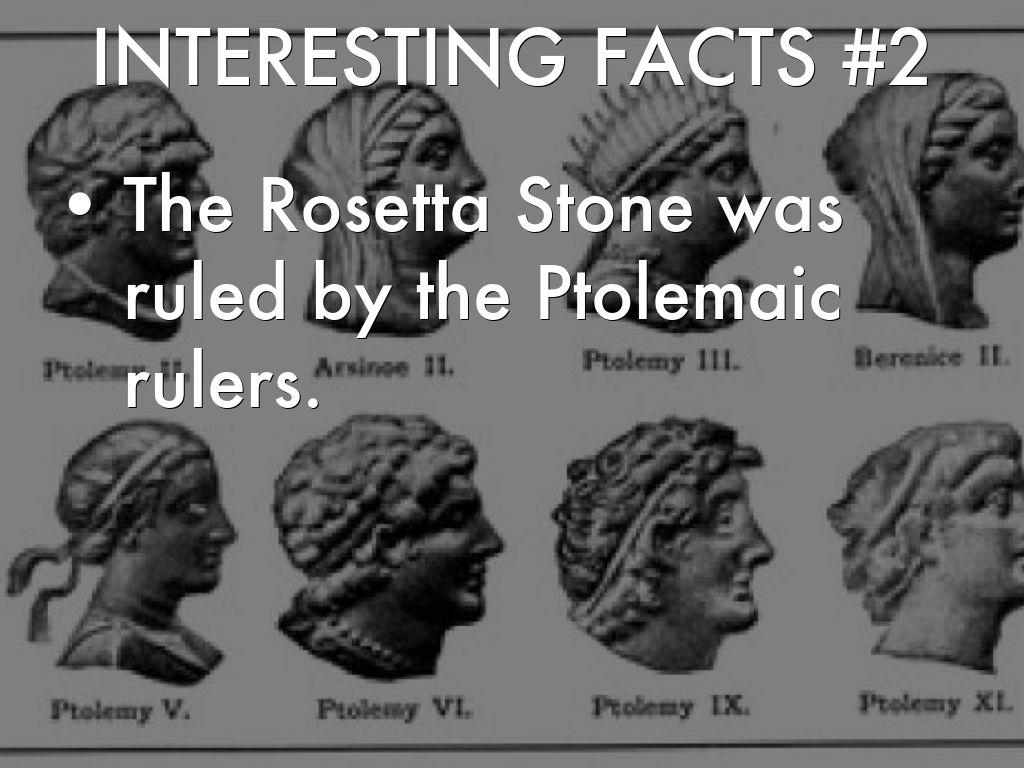 Rosetta Stone Quick Facts | fast facts about the rosetta stone best flowers and rose Rosetta Stone Quick Facts | fast facts about the rosetta stone best flowers and rose