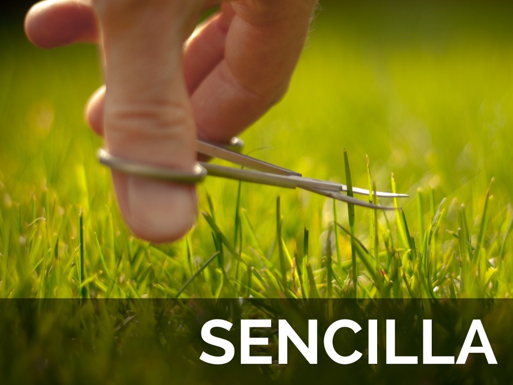 Cómo debe ser una app