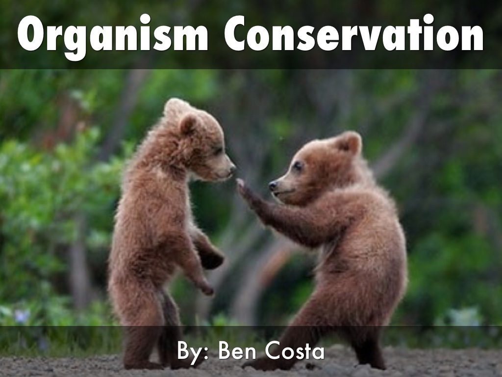Organism Conservation