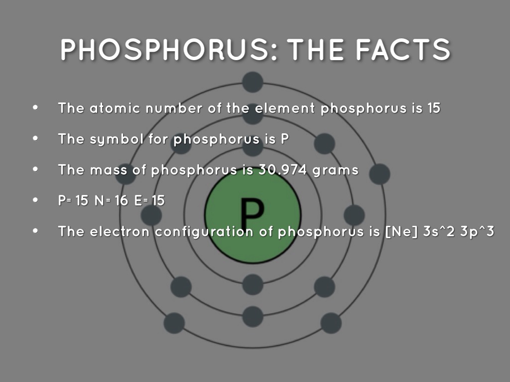 juliana haddad by fjh phosphorus facts