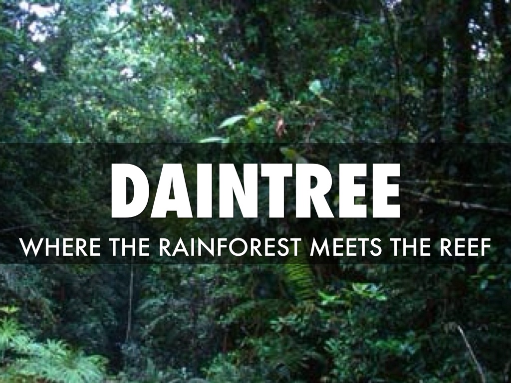 Daintree Rainforest