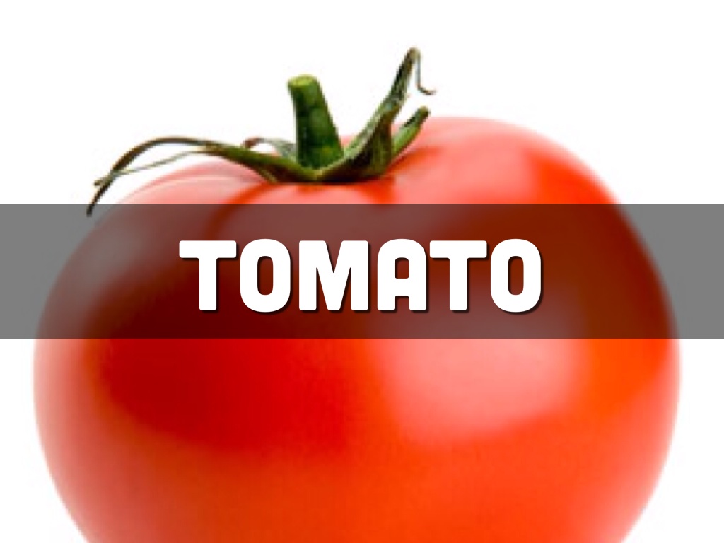 Spelling Singular & Plural Words by Juhi Chawla