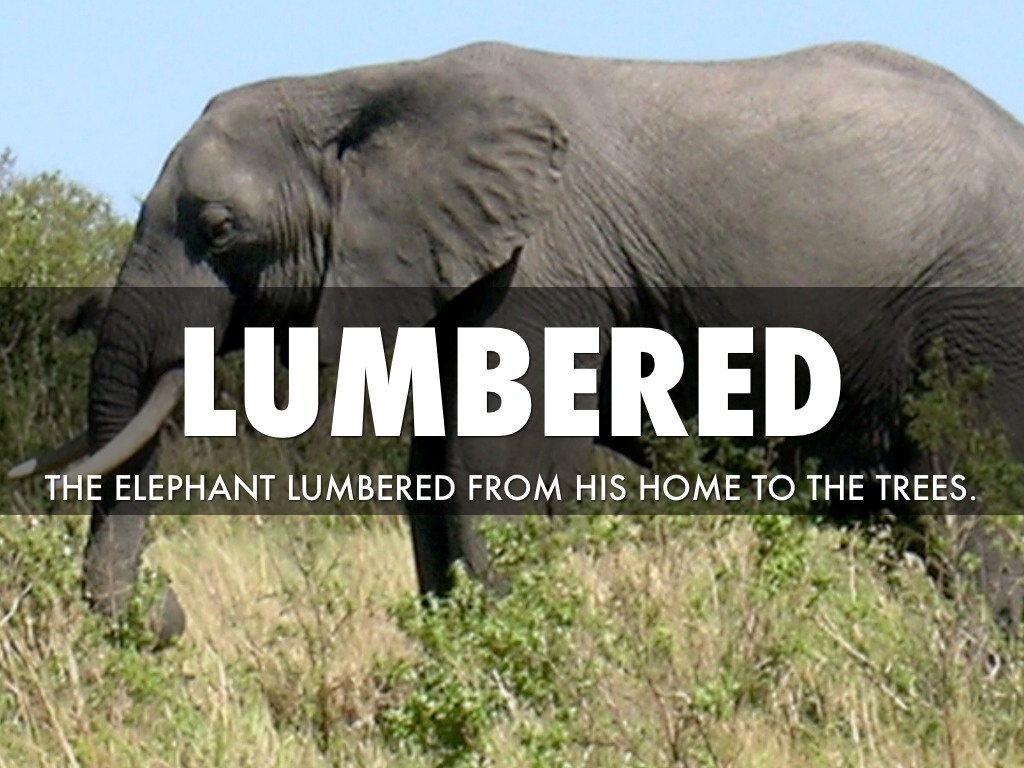 Maniac Magee Vocabulary by theodore.katz