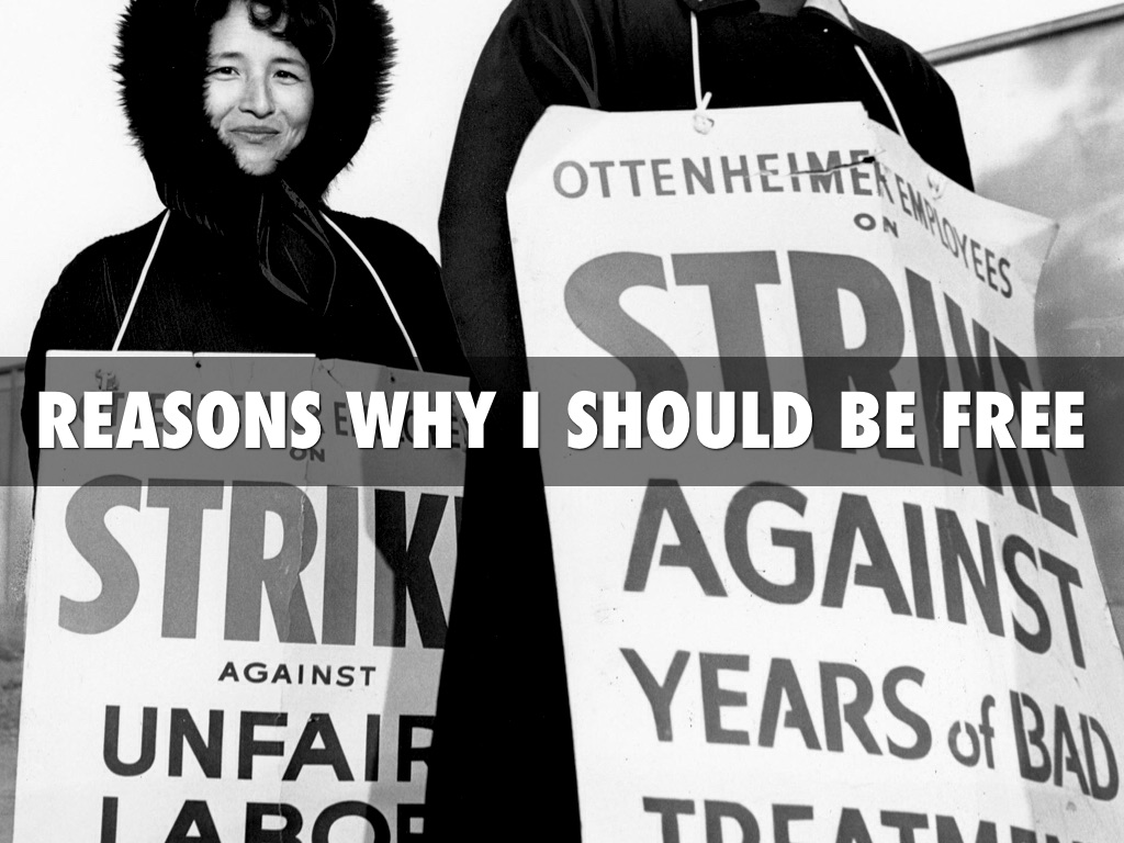 Reasons Why I Should Be Free