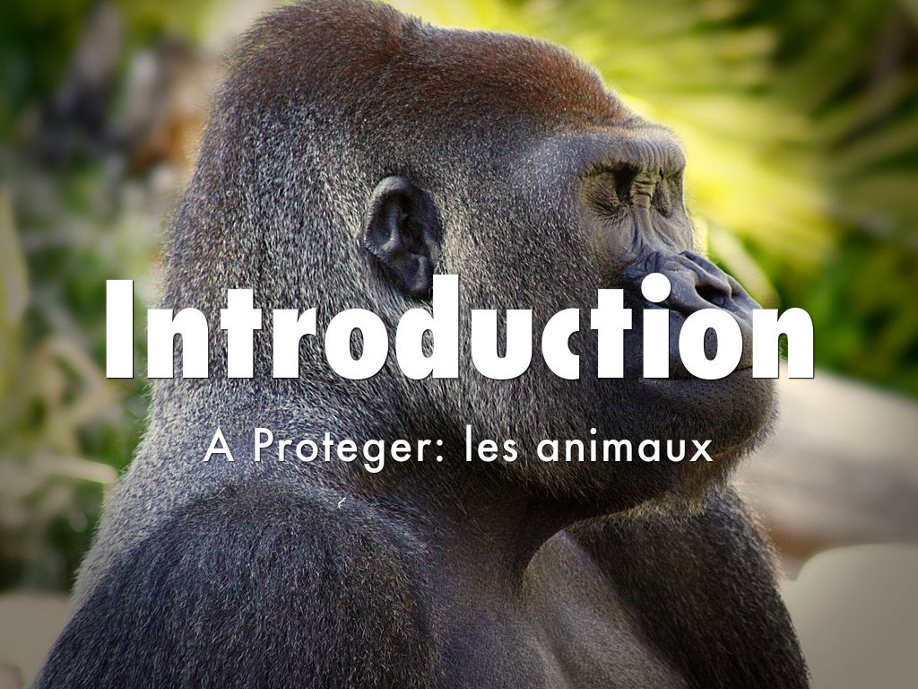 Introduction