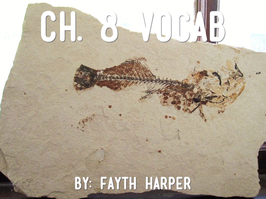 Science Ch. 8 Vocabulary