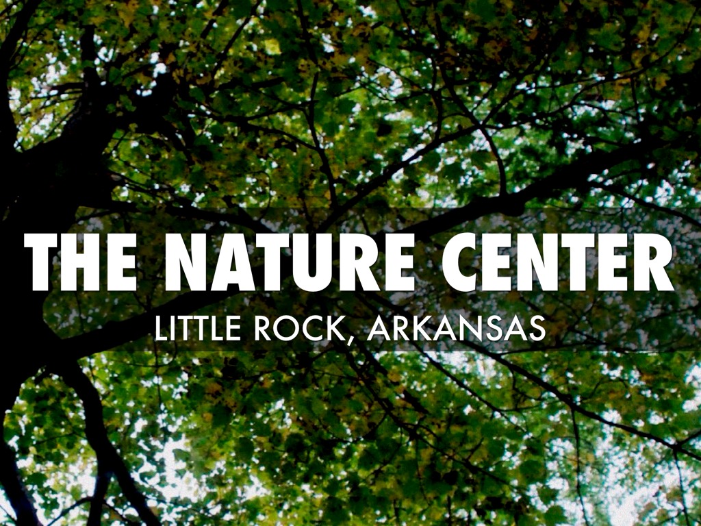 The Nature Center