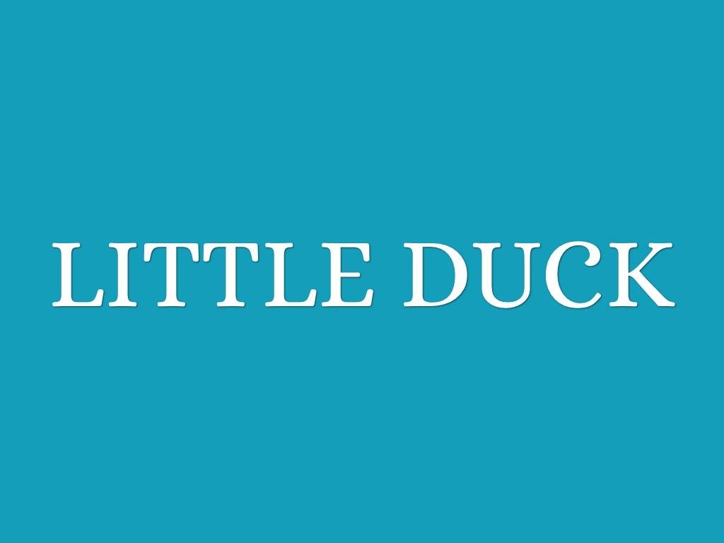 Little Duck