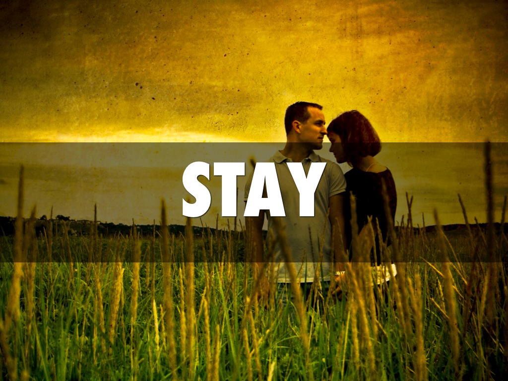 stay
