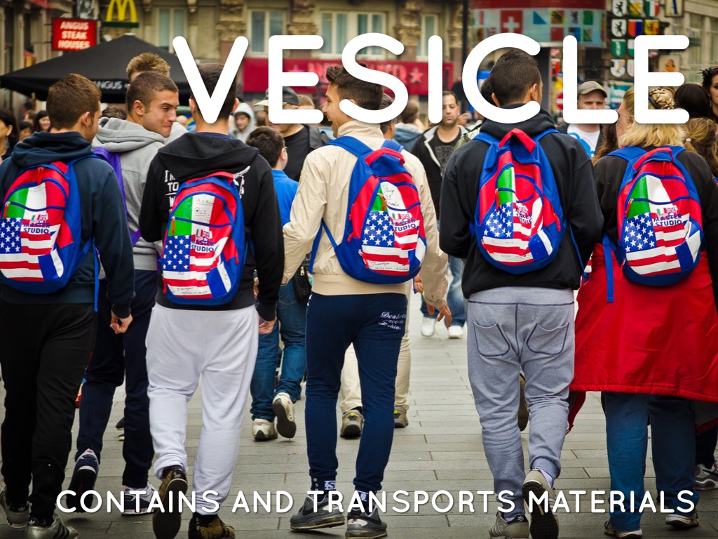 России запретят спорт