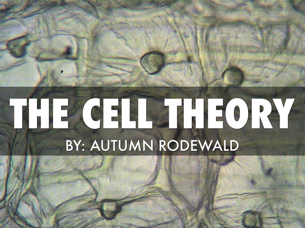 The cell theory