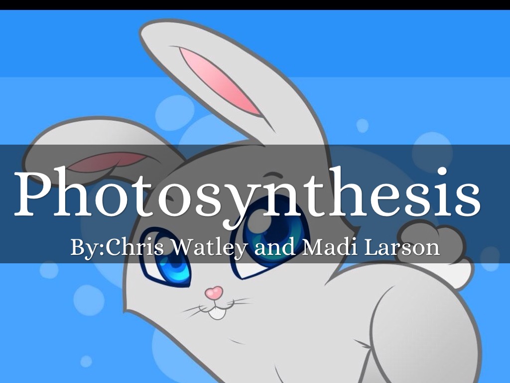 Where does chemosynthesis occur picture