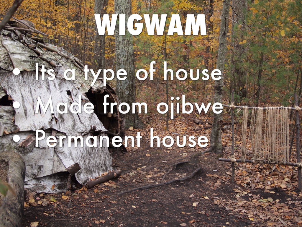 Chapter 4 Vocabulary Social Studies 