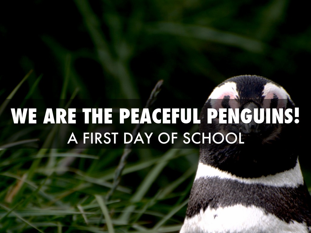 My First Day At School